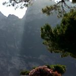 IMG-20120626-00026