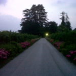 IMG00181-20100702-2128