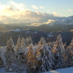 IMG_00001781