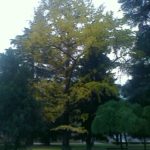 img555 (2)